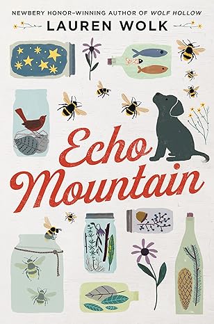 Book Cover Echo Mountain by Lauren Wolk